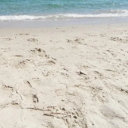 Avec Terrasse Et Parking, A 250 M De La D'aiguebelle, - Fr-1-251-187 * Le Lavandou