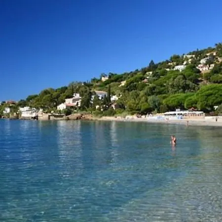 Avec Terrasse Et Parking, A 250 M De La D'aiguebelle, - Fr-1-251-187 Apartman Le Lavandou