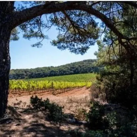 Avec Terrasse Et Parking, A 250 M De La D'aiguebelle, - Fr-1-251-187 Apartman