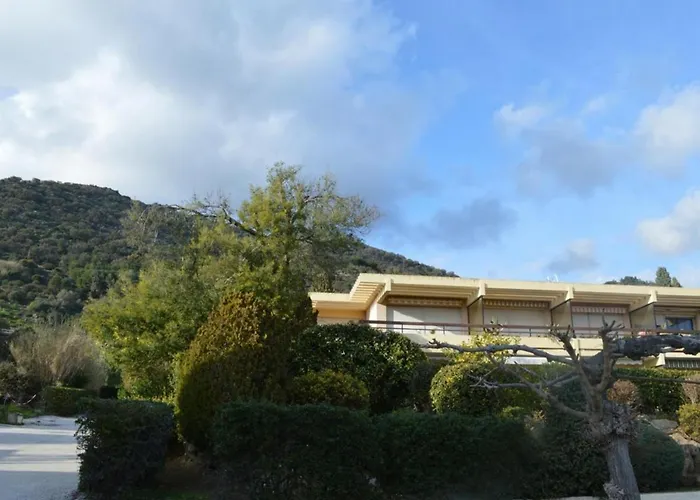 Avec Terrasse Et Parking, A 250 M De La D'aiguebelle, - Fr-1-251-187 Le Lavandou