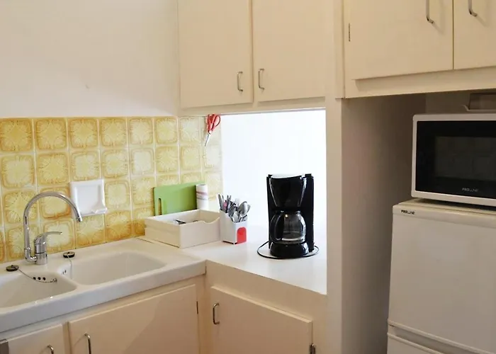 Apartman Avec Terrasse Et Parking, A 250 M De La D'aiguebelle, - Fr-1-251-187