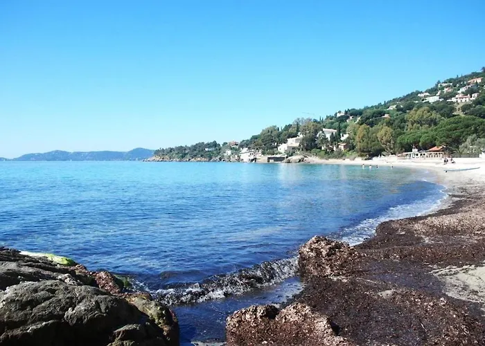 Apartment Avec Terrasse Et Parking, A 250 M De La D'aiguebelle, - Fr-1-251-187 Le Lavandou