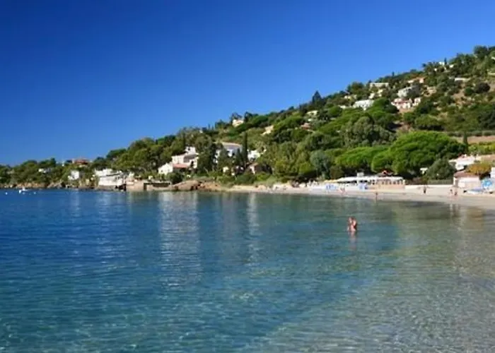 Avec Terrasse Et Parking, A 250 M De La D'aiguebelle, - Fr-1-251-187 Apartment Le Lavandou