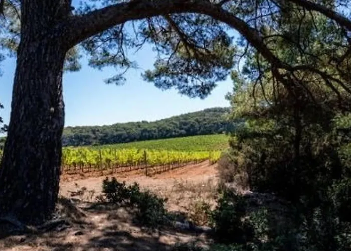 Avec Terrasse Et Parking, A 250 M De La D'aiguebelle, - Fr-1-251-187 Apartman