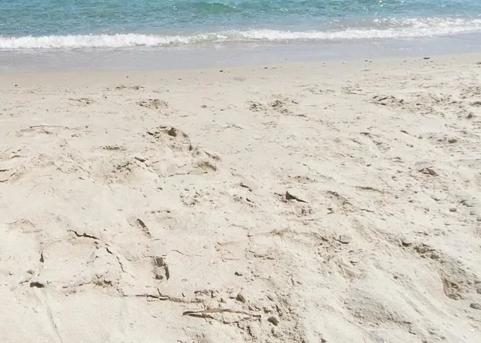 Avec Terrasse Et Parking, A 250 M De La D'aiguebelle, - Fr-1-251-187 * Le Lavandou